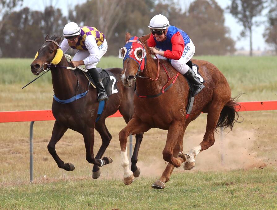 DURABLE: Tearful Kitty winning at Lockhart last month. She will be part of a big Trevor Sutherland team at Wagga on Saturday. Picture: Les Smith