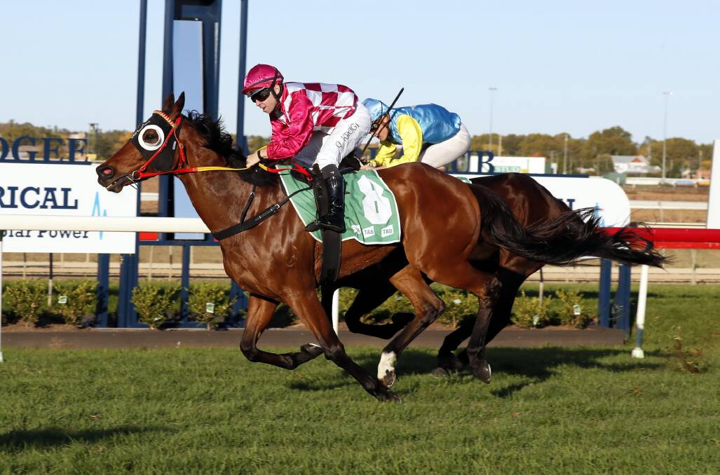 CUP BOUND: Roman, with Quayde Krogh in the saddle, takes out the $45,000 Murrumbidgee Cup (1800m) at Wagga on Sunday. Picture: Les Smith