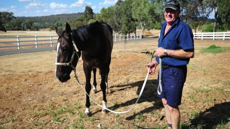 GOLDEN OPPORTUNITY: Wagga trainer Wayne Carroll with Lady Mironton at his property. Picture: John Gray