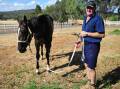 GOLDEN OPPORTUNITY: Wagga trainer Wayne Carroll with Lady Mironton at his property. Picture: John Gray