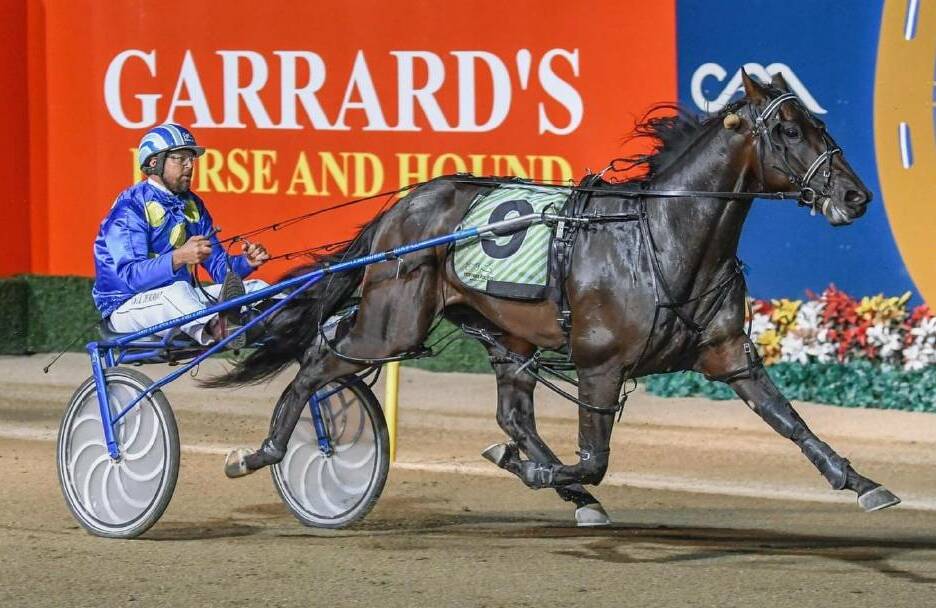 GOLDEN OPPORTUNITY: Daryll Perrot guides Mister Rea to victory at Menangle earlier this month for Temora trainer Ray Walker. Picture: Club Menangle