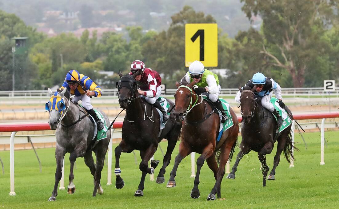 GOT THEM: Mahsinger, with Tyler Schiller in the saddle, works home down the outside to win the Australia Day Cup at Wagga. Picture: Emma Hillier
