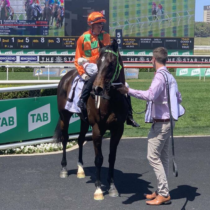 STRONG DEBUT: Eastern Wind, with Andrew Adkins in the saddle, returns after his fifth placing in the Victory Vein Stakes at Randwick on Saturday. Picture: Colvin Racing