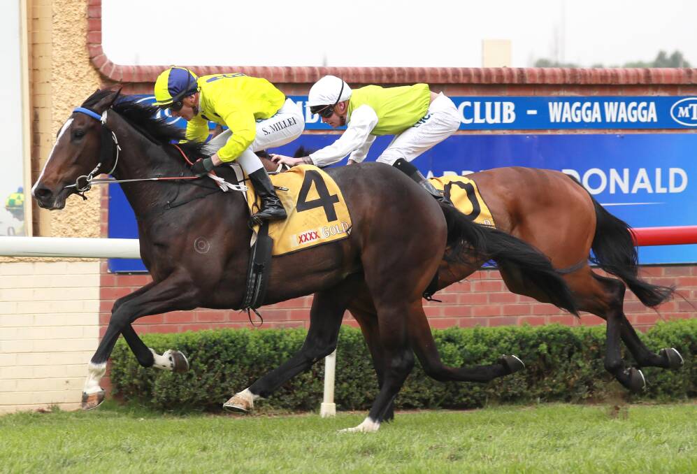 RETIRED: The Wayne Carroll-trained Lady Mironton winning at Wagga back in 2019. Picture: Les Smith