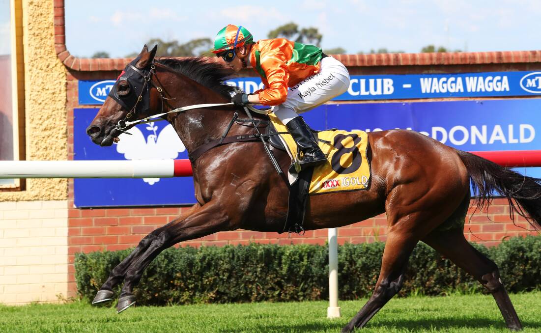 River Of Gold is another horse Mitch Beer has lost from his stable after she was struck spelling in Victoria.