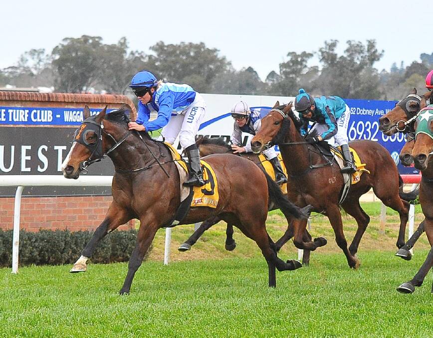 HOMETOWN HOPE: Megan Taylor will pilot Bondo in Saturday's $16,000 Tumut Cup (1400m) for trainer Kerry Weir.