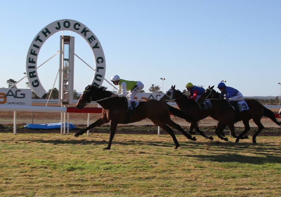 BACK AGAIN: Danetrille takes out last year's Griffith Cup. Picture: Anthony Stipo