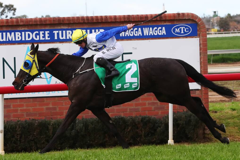OLD MARVEL: Brock Ryan guides Gentleman Max to victory at Murrumbidgee Turf Club on Sunday. Picture: Emma Hillier
