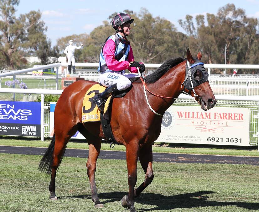 VALUE CHANCE: Heysen has been racing well of late and looks a strong each-way chance at Wagga on Tuesday.