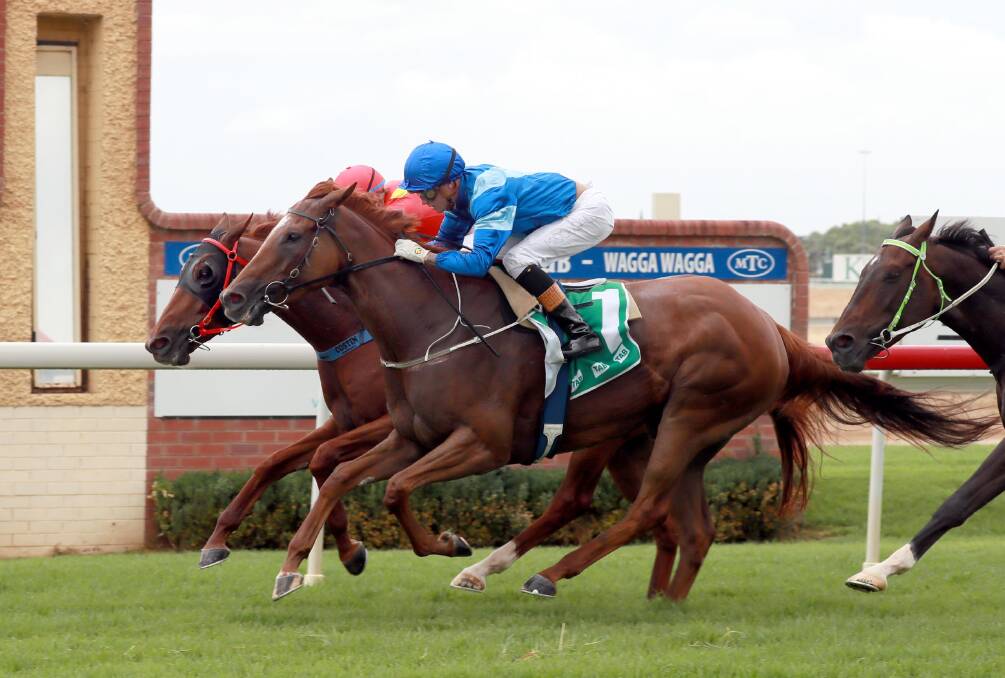 CLOSE CALL: Propose To Me (blue) scores by a nose at Murrumbidgee Turf Club on Tuesday. Picture: Les Smith