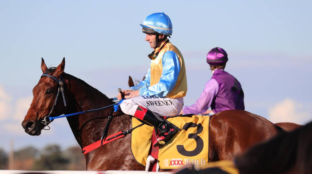 VALUE: Tudor Rule looks a strong hope in race two at Murrumbidgee Turf Club on Thursday. 