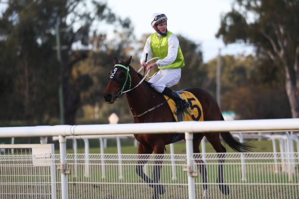 HIGHWAY BOUND: Nic's Hero, pictured returning after a recent win at Wagga with Nick Heywood in the saddle, will run at Kembla Grange on Saturday. Picture: Emma Hillier