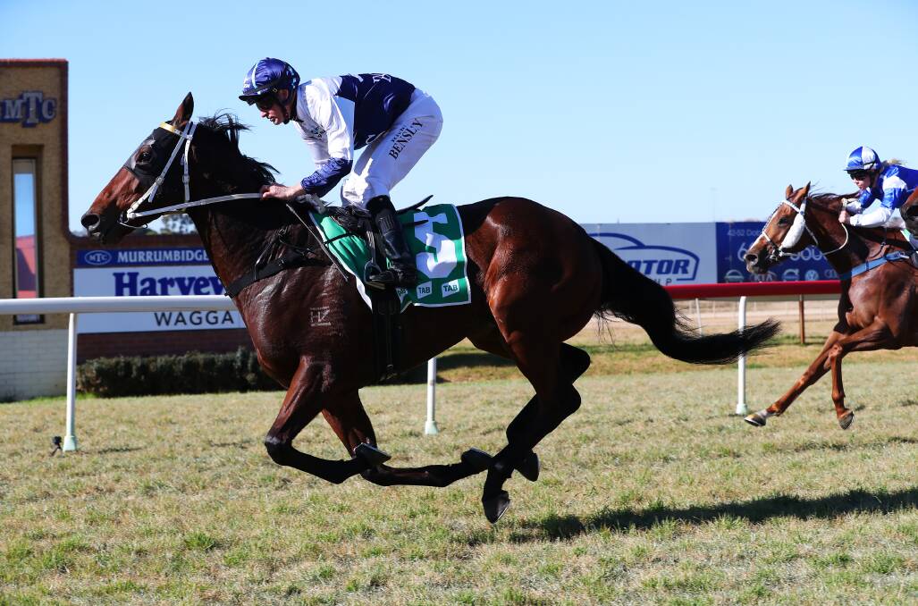 Tullaghan winning at Wagga last Saturday. Picture: Emma Hillier