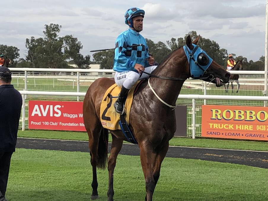 EASY: Michael Walker returns a winner on Espinola after a dominant performance in The Riverine Club 2YO Handicap at Wagga. Picture: Matt Malone