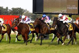 PHOTO FINISH: Exocet, with Tommy Berry in the saddle, comes down the extreme outside to win the MTC Guineas at Wagga on Friday. Picture: Les Smith