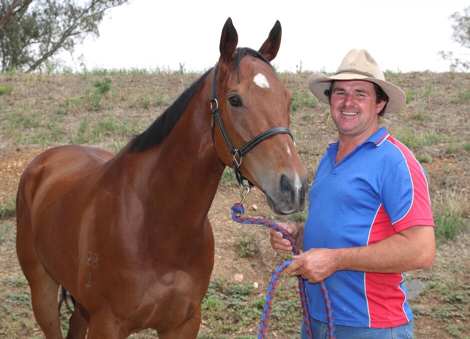 STABLE FAVOURITE: Wagga trainer Trevor Sutherland with Benno's Boy at his stables on Friday. Picture: Les Smith