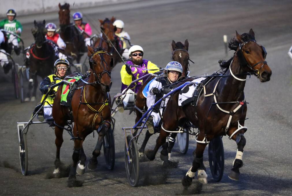 NICE RETURN: Killara Kaos cruises away from Harps and Harrys Delight to win the opening event at Wagga on Tuesday night. Picture: Emma Hillier