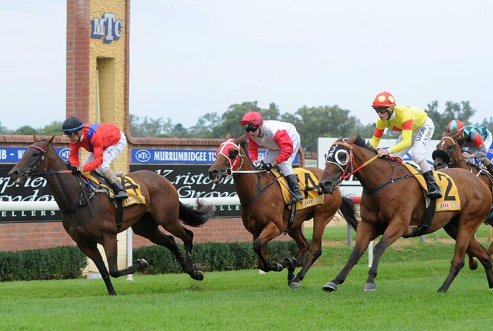 CLOSE CALL: Bulala, with Mathew Cahill on board, holds off his rivals to win at Wagga on Friday. Picture: Laura Hardwick