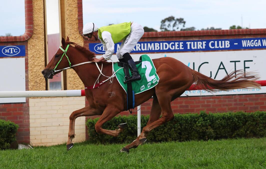NOT FOR SALE: Nick Heywood steers Another One to a dominant victory at Murrumbidgee Turf Club last month. Picture: Emma Hillier