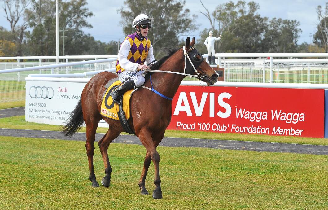 NOMINATED: Magnaro has been nominated to return from a spell at Murrumbidgee Turf Club on Friday. Picture: Kieren L Tilly