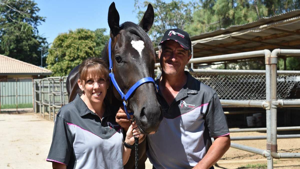 WELCOME BACK: Donna and Scott Spackman with stable star Rocket Tiger last year. Picture: Courtney Rees
