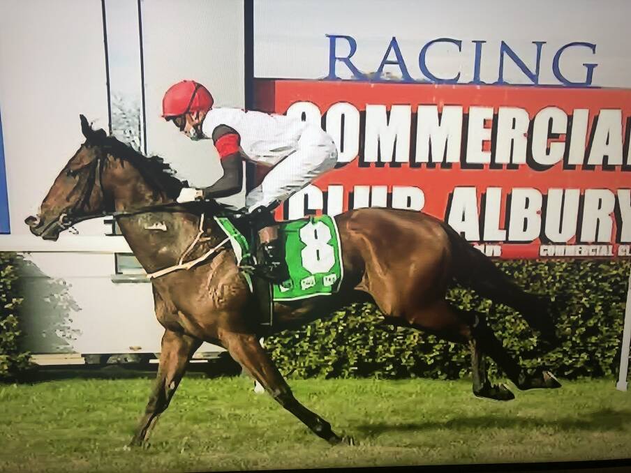 SPECIAL MOMENT: Blaike McDougall enjoys his 100th winner in the Southern District for the season, Claptone, at Albury on Tuesday.
