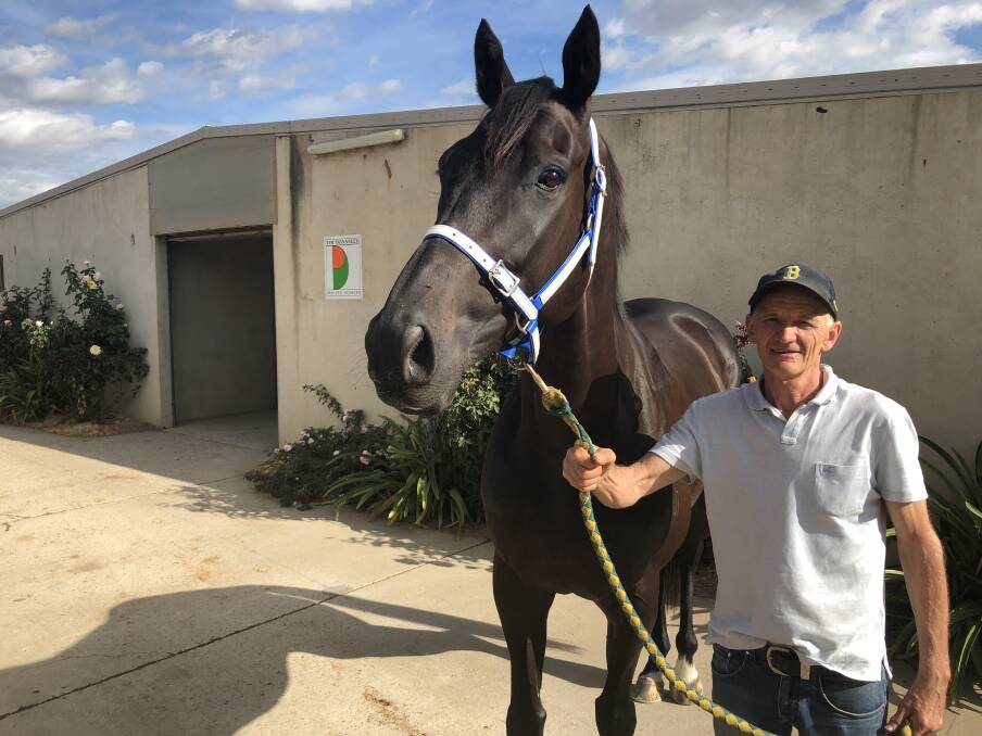 VALUE: The Tim Donnelly-trained Pontmain could help punters leave on a winning note at Murrumbidgee Turf Club on Thursday. Picture: Matt Malone