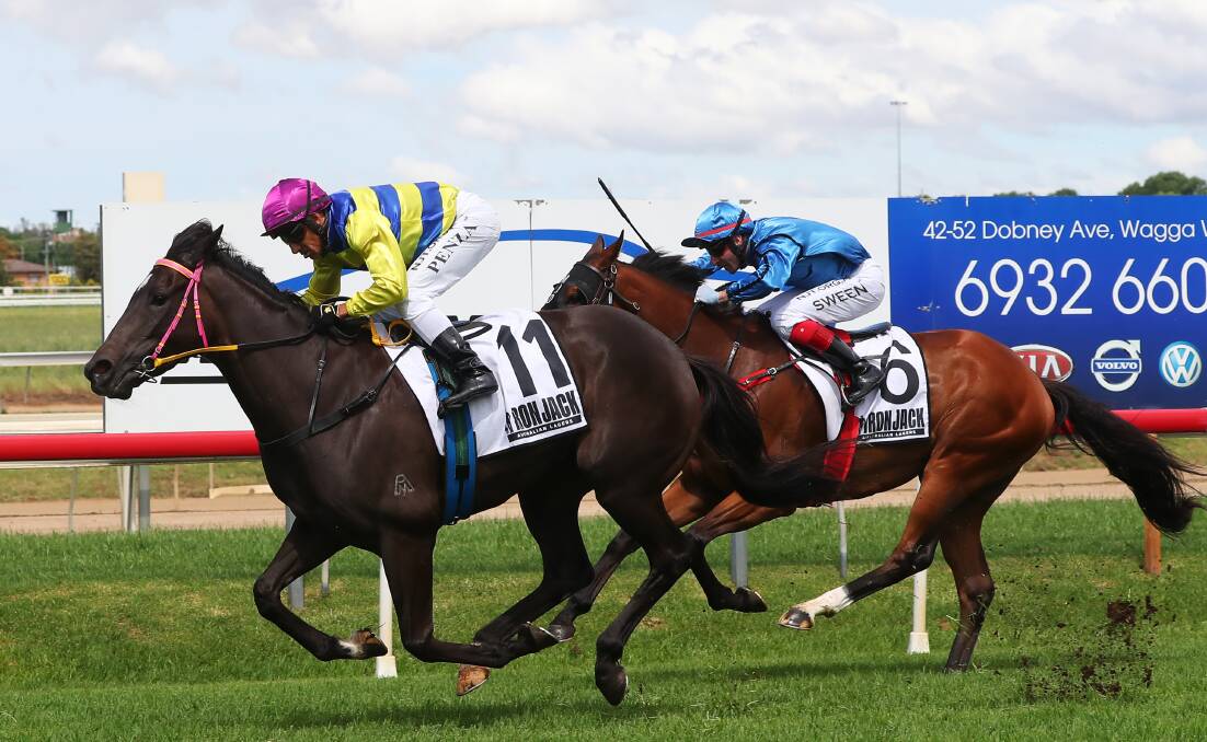 UPSET: Jeff Penza guides Phelan Thirsty past One Man Band to capture his maiden win at Murrumbidgee Turf Club on Monday. Picture: Emma Hillier