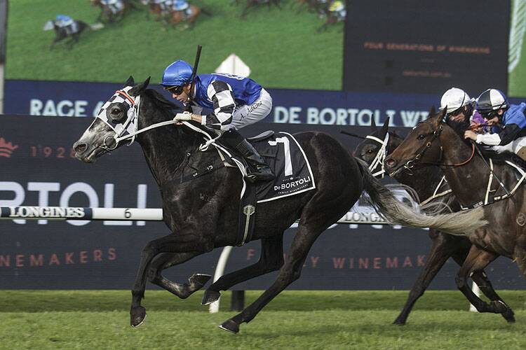 WELL-PERFORMED MARE: Attention Run winning at Rosehill for the Kris Lees stable in 2020.