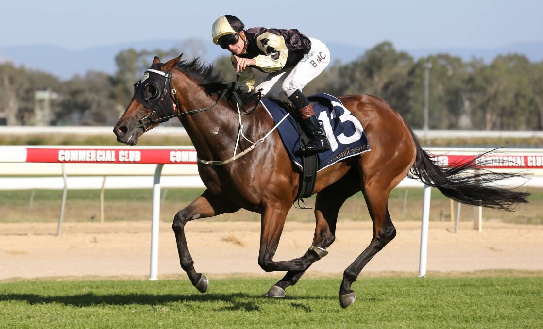 Bennelong Dancer winning this year's Country Championship Qualifier at Albury. Picture: Kylie Esler