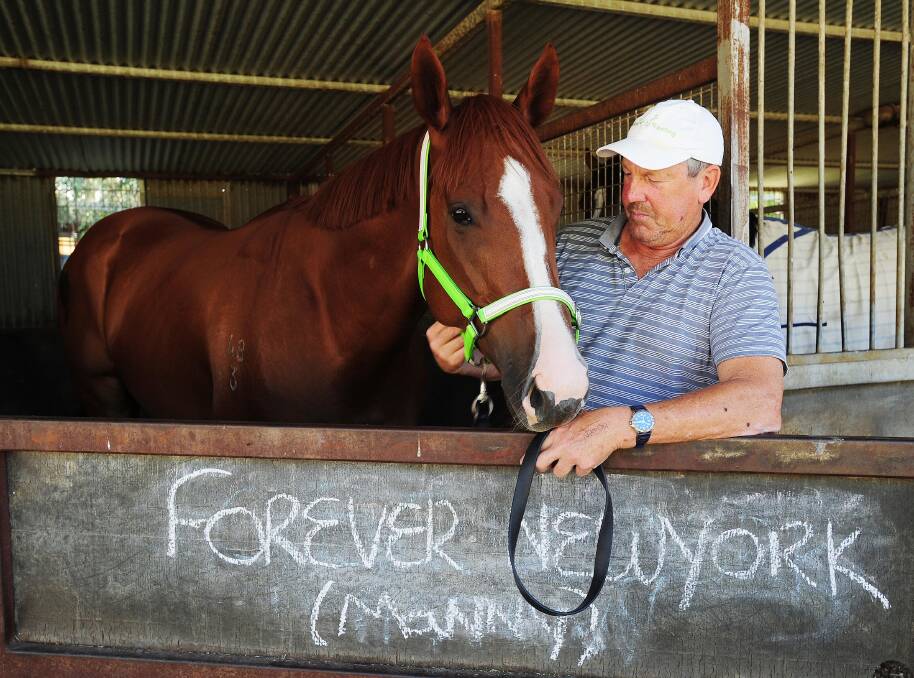 Forever Newyork pleased Wagga trainer Gary Colvin with a strong trial victory at Wagga on Wednesday.