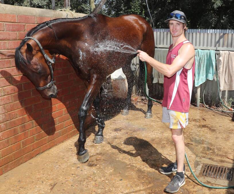 COUP: Wagga apprentice jockey Josh Richards at Scott Spackman's stables with Cryfowl. Richards has been given the ride on Takookacod in the Country Championships. Picture: Les Smith
