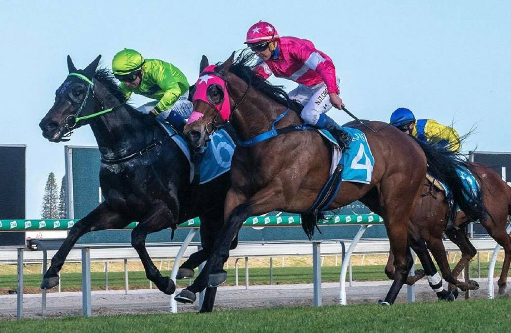 EXCITING PROSPECT: Valiant (left) has won three of his four starts and owner Doug Walker is eyeing off a Kosciuszko slot with the galloper. Picture: Steve Wise Racing