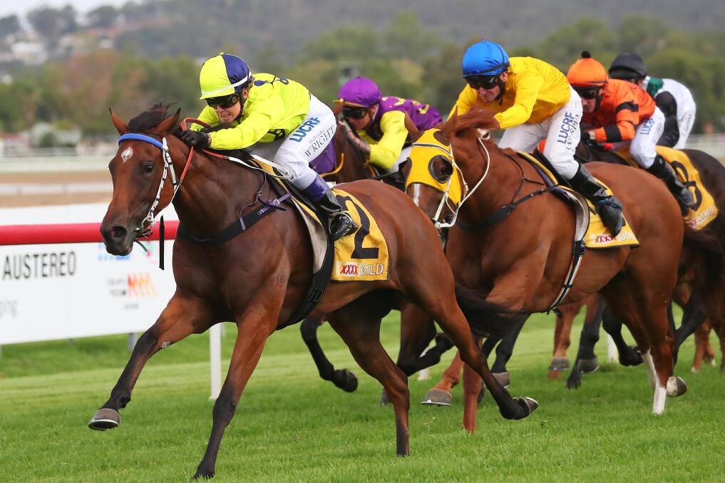 TEST: Fashion Tip will put her Country Championship credentials on the line at Albury on Friday. Picture: Emma Hillier