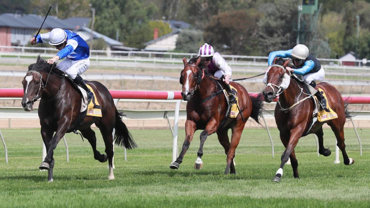 Footmark winning at Wagga last start. Picture: Les Smith