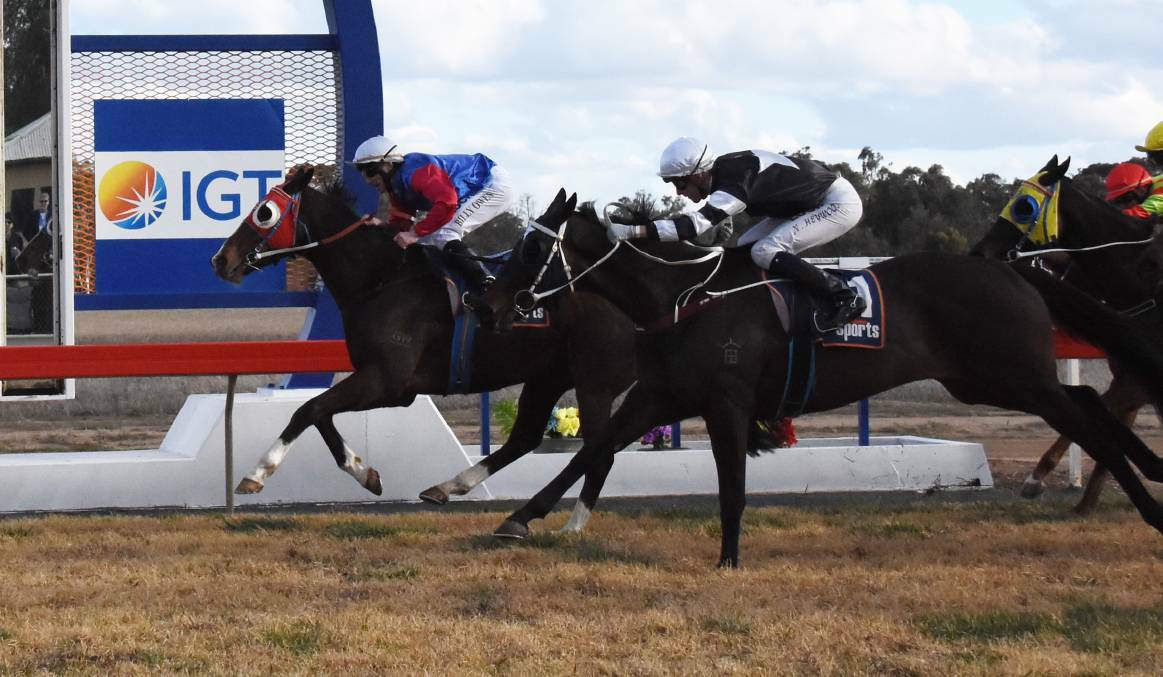 TOO GOOD: Billy Owen steers Willy White Socks to victory on Monday, the second cup win in a row for trainer Trevor Sutherland. Picture: Renee Powell