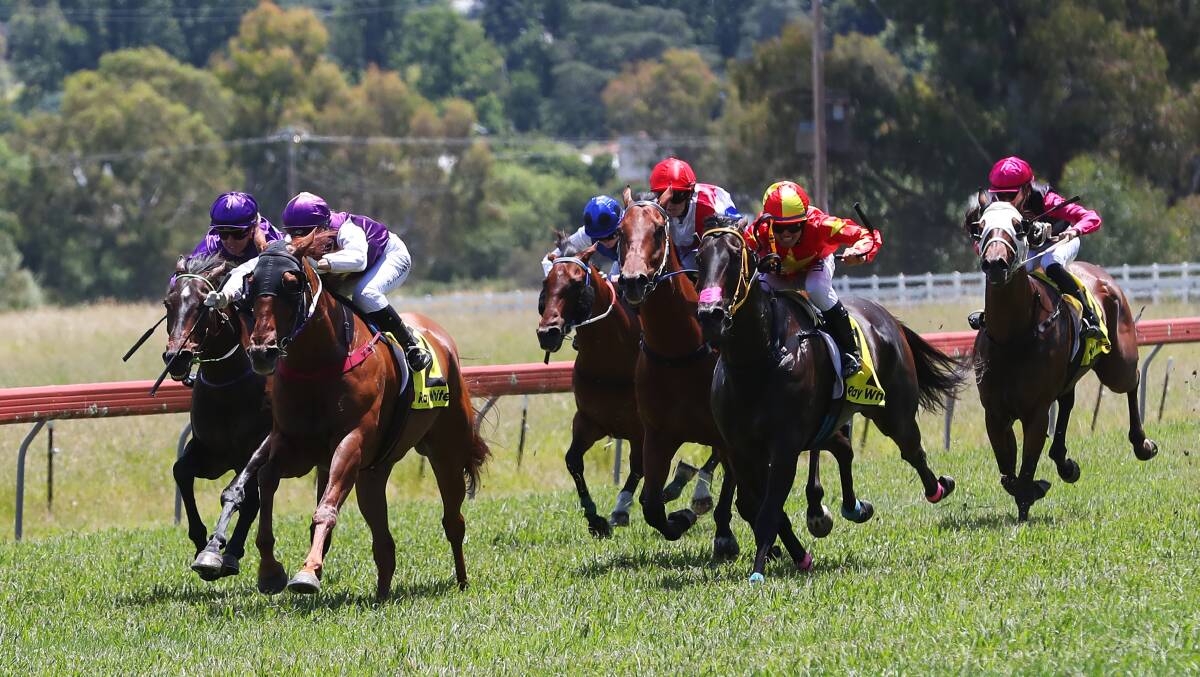 GOING WELL: Lennox Road winning at Tumut on Boxing Day. Trainer Graham Byatt has his team firing at the moment. Picture: Emma Hillier