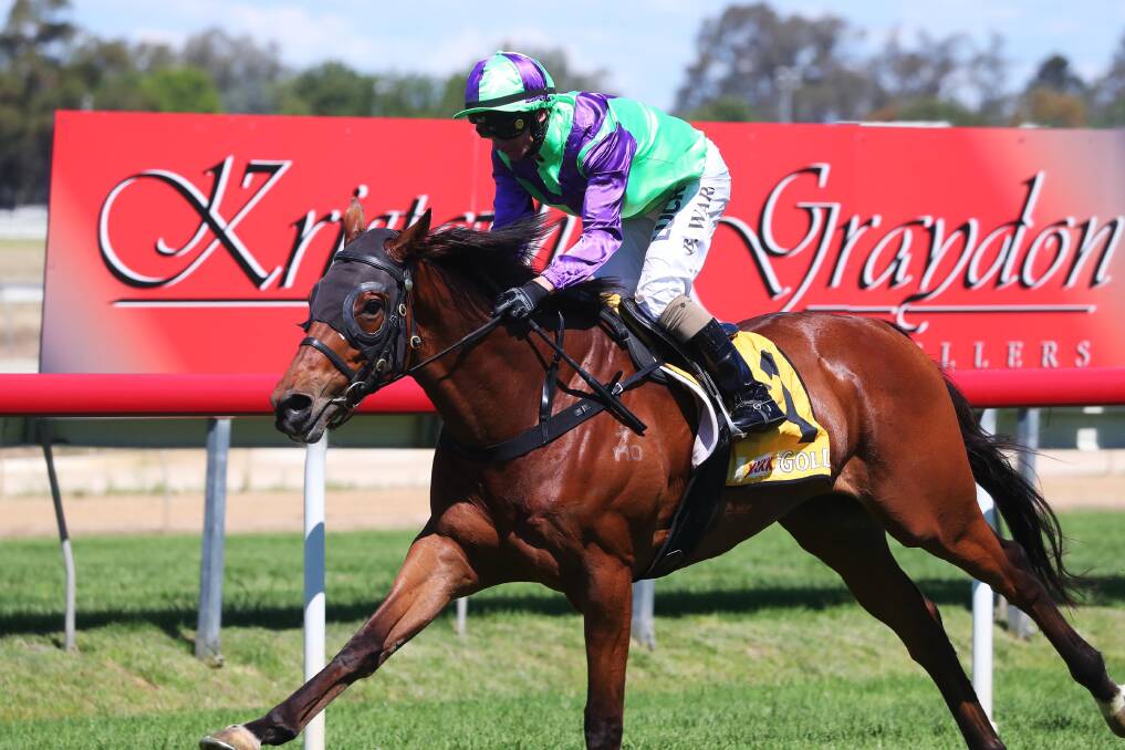 DOMINANT: Irenic, with Brendan Ward in the saddle, takes out the Mountaineer Cup (3200m) at Murrumbidgee Turf Club on Monday. Picture: Emma Hillier