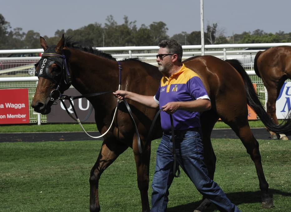 GOING STRONG: Canberra trainer Doug Gorrel with Exaggerate after his win at Wagga last month. Picture: Matt Malone