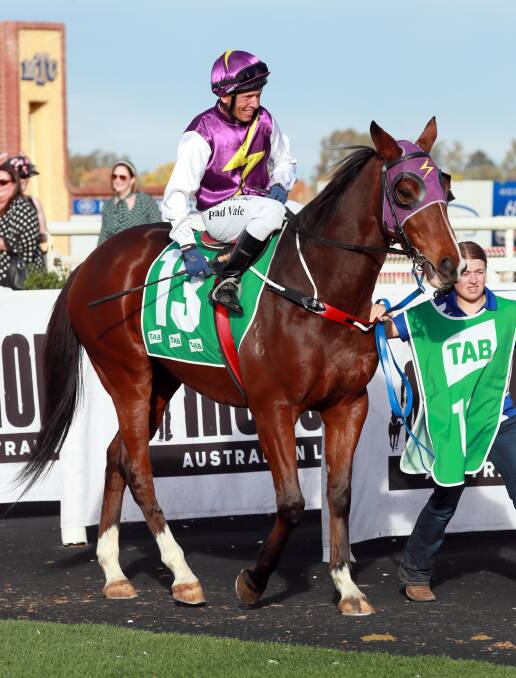 GOING AGAIN: Bradley Vale aboard Blazing Zone at Wagga on Thursday. Picture: Les Smith