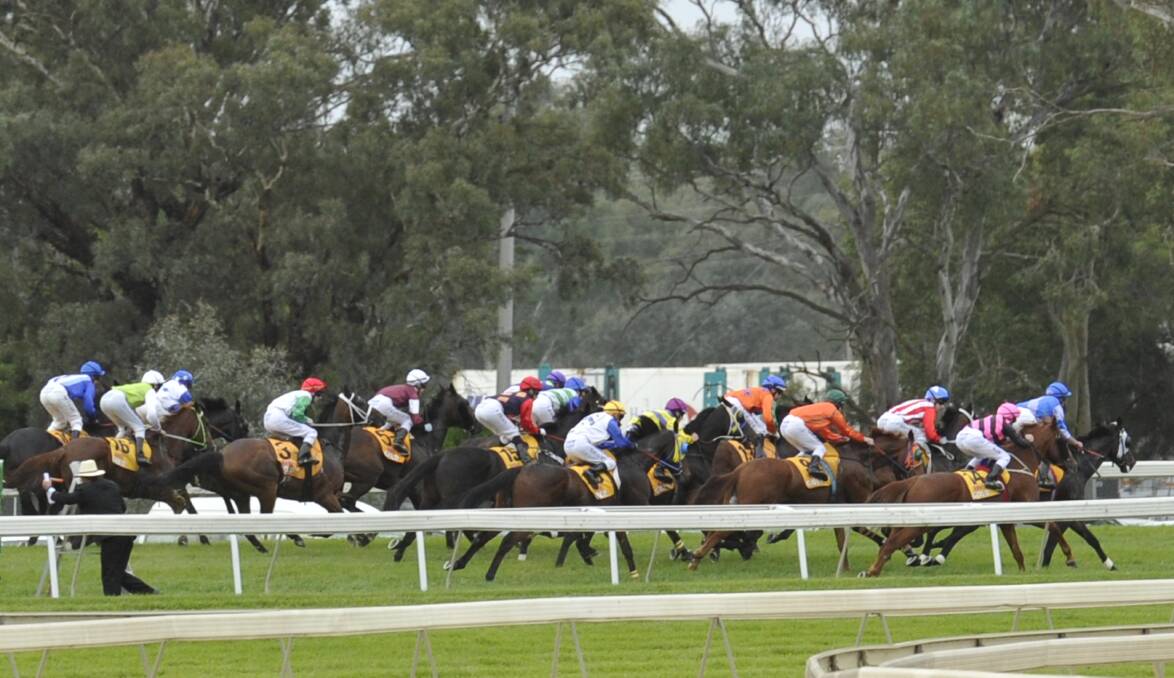 Murrumbidgee Turf Club are making progress with a plan to build a new stable complex on its north-eastern boundary.