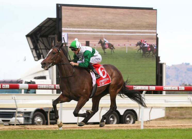 PROVEN PERFORMER: Entente, with Sam Clipperson aboard, races to victory in the Albury Gold Cup last year. Picture: The Border Mail