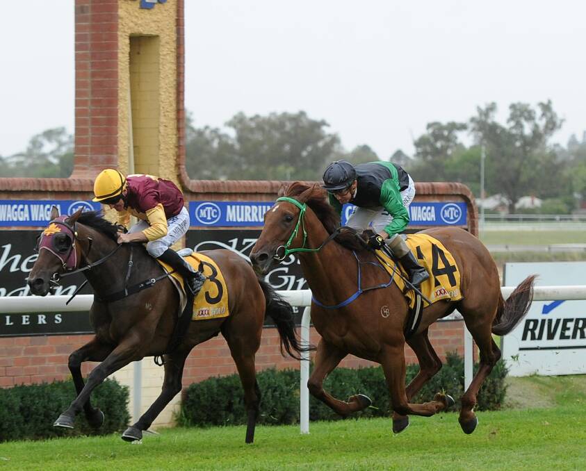 CLOSE CALL: Fish Bones Fry holds out Sweet Knuckle to win the Chris Heywood Racing Benchmark 50 Handicap (1800m) at Wagga on Friday.