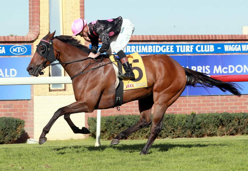 Ruby Syke scores a comfortable win in the Tom Patton Cup (1800m) at Wagga on Friday. Picture: Les Smith