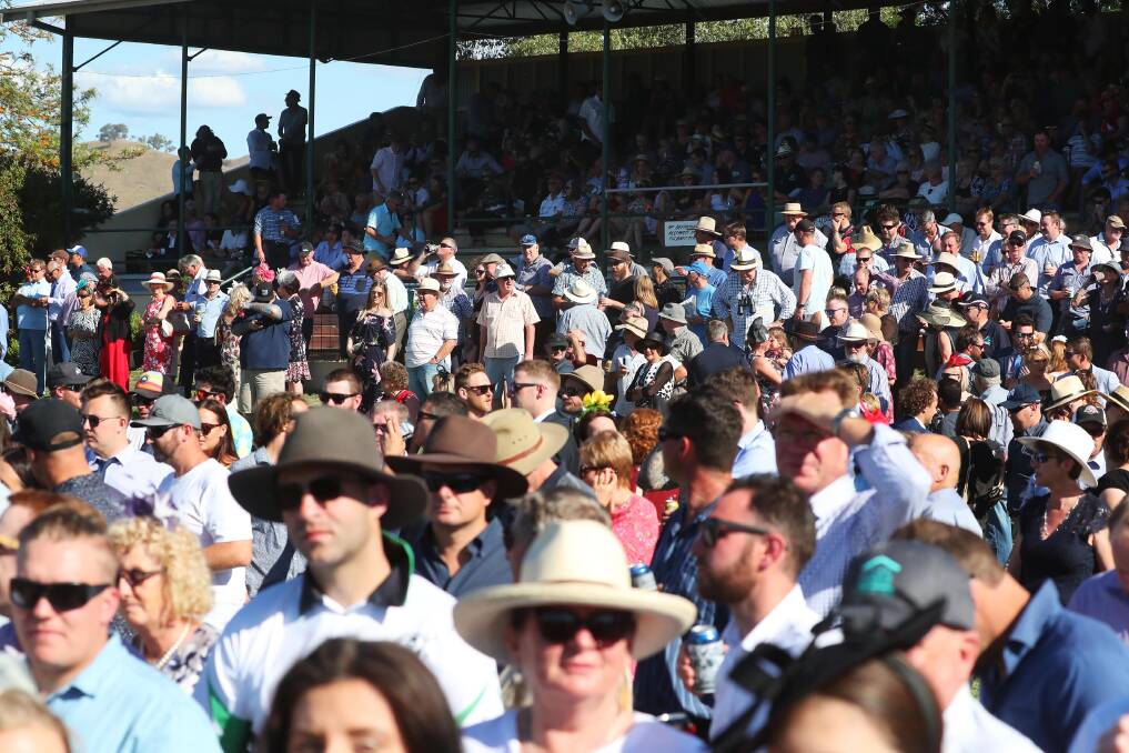 Snake Gully Cup day in 2018.