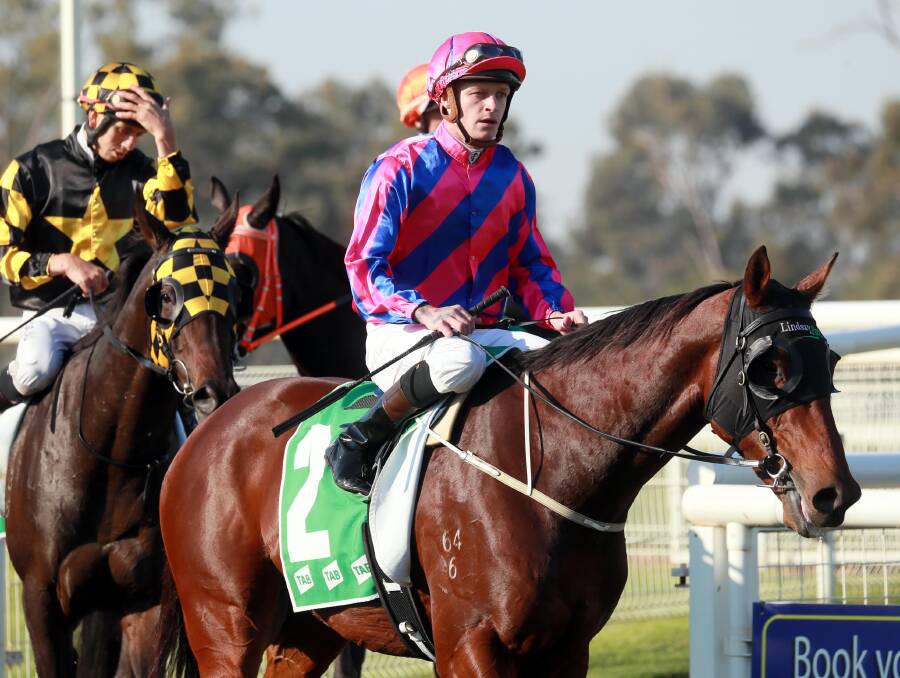 Blaike McDougall will be looking to ride more winners for the Hayes stable. Picture: Les Smith