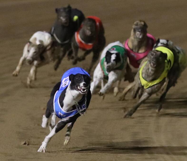 BUSH RACING: Queen Ollie wins at Wagga this month.