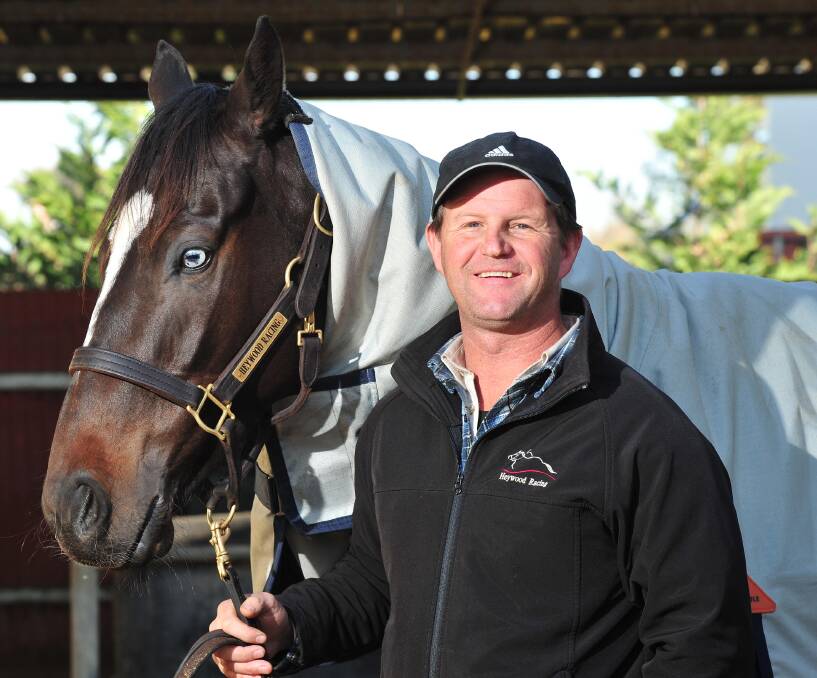 TRIP TO TOWN: Wagga trainer Chris Heywood will have Leucura run at Canterbury on Wednesday. Picture: Kieren L Tilly