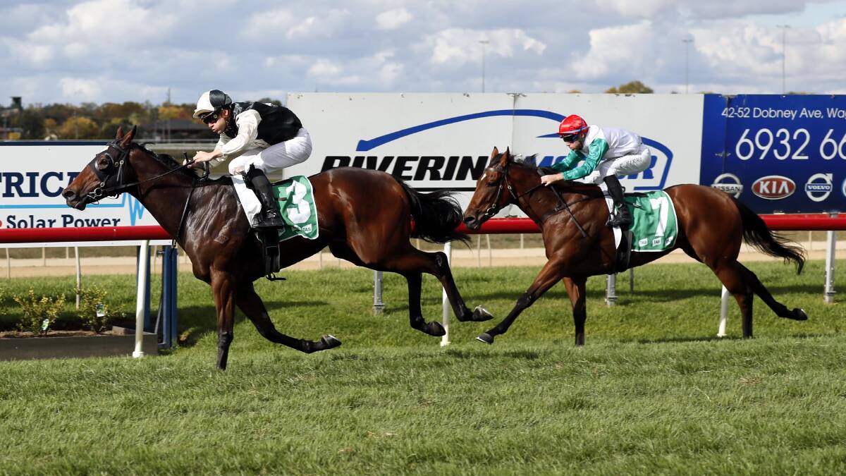 Our Last Cash winning at the Wagga Gold Cup carnival last year. Picture by Les Smith
