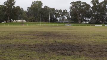 PATCHY: The state of McPherson Oval on Tuesday. Picture: Madeline Begley